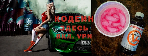 спиды Вяземский