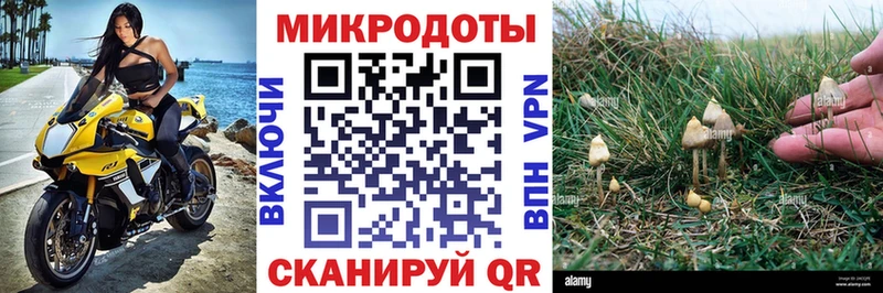 Галлюциногенные грибы GOLDEN TEACHER Сысерть
